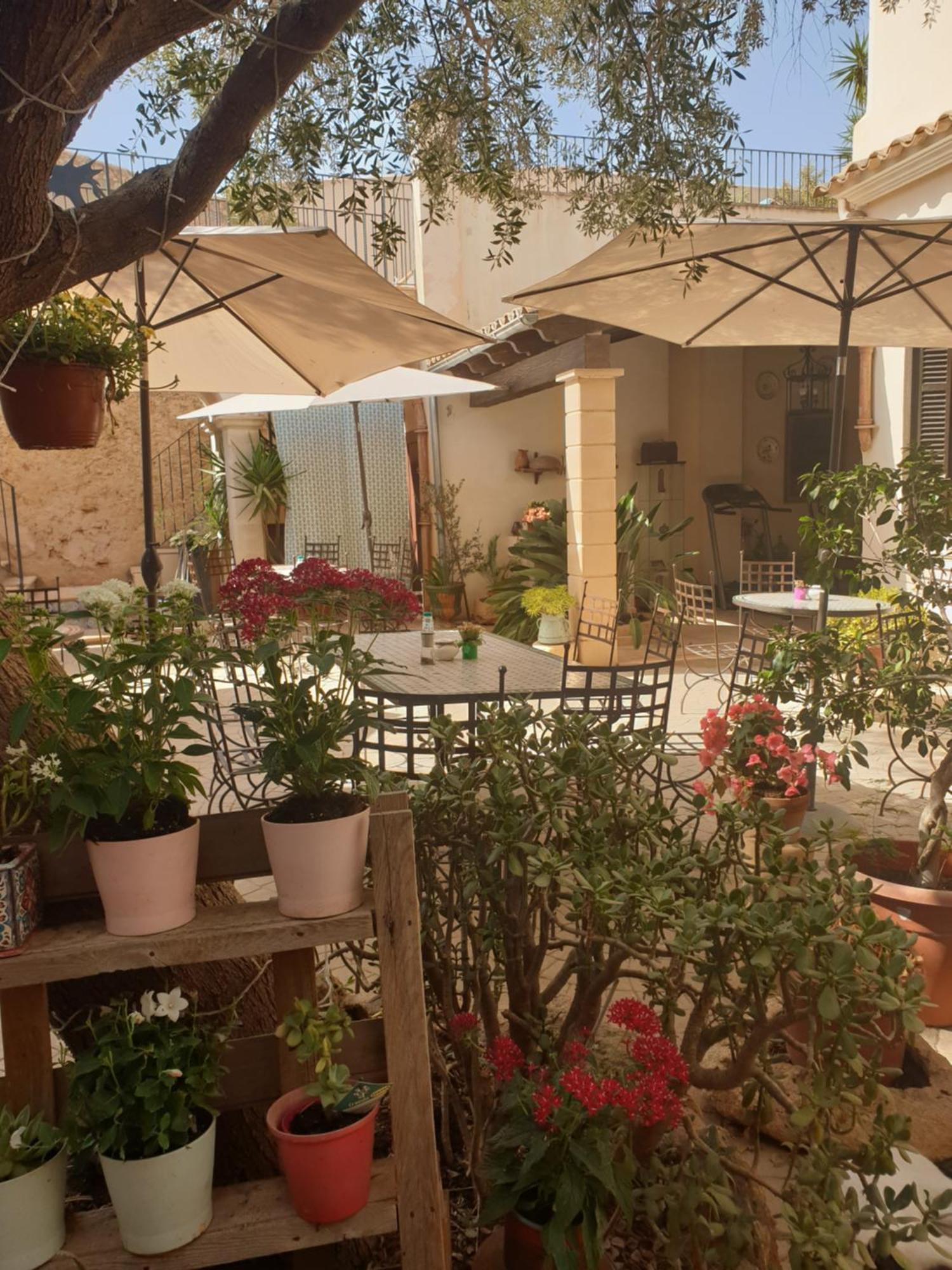 Hotel Segles - Turismo De Interior Campos  Extérieur photo